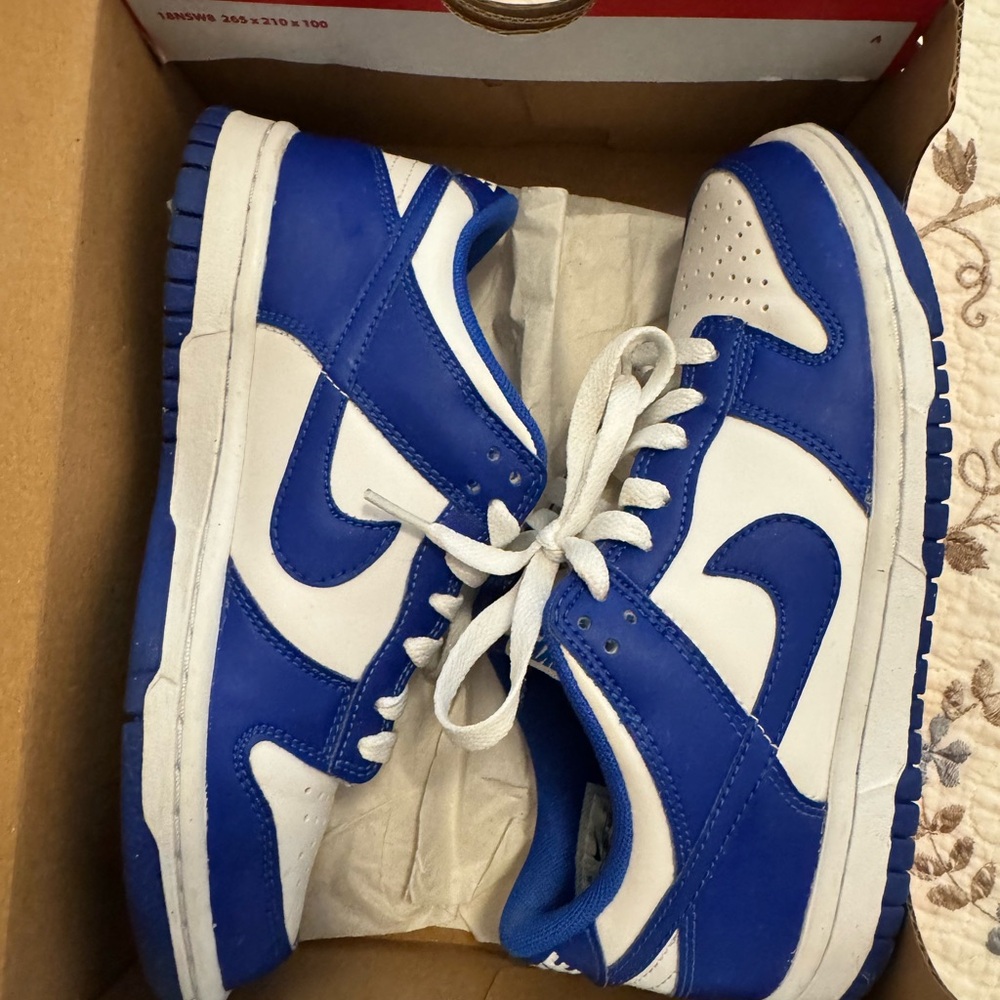 Kids Nike Dunks Blue and White Sneakers
